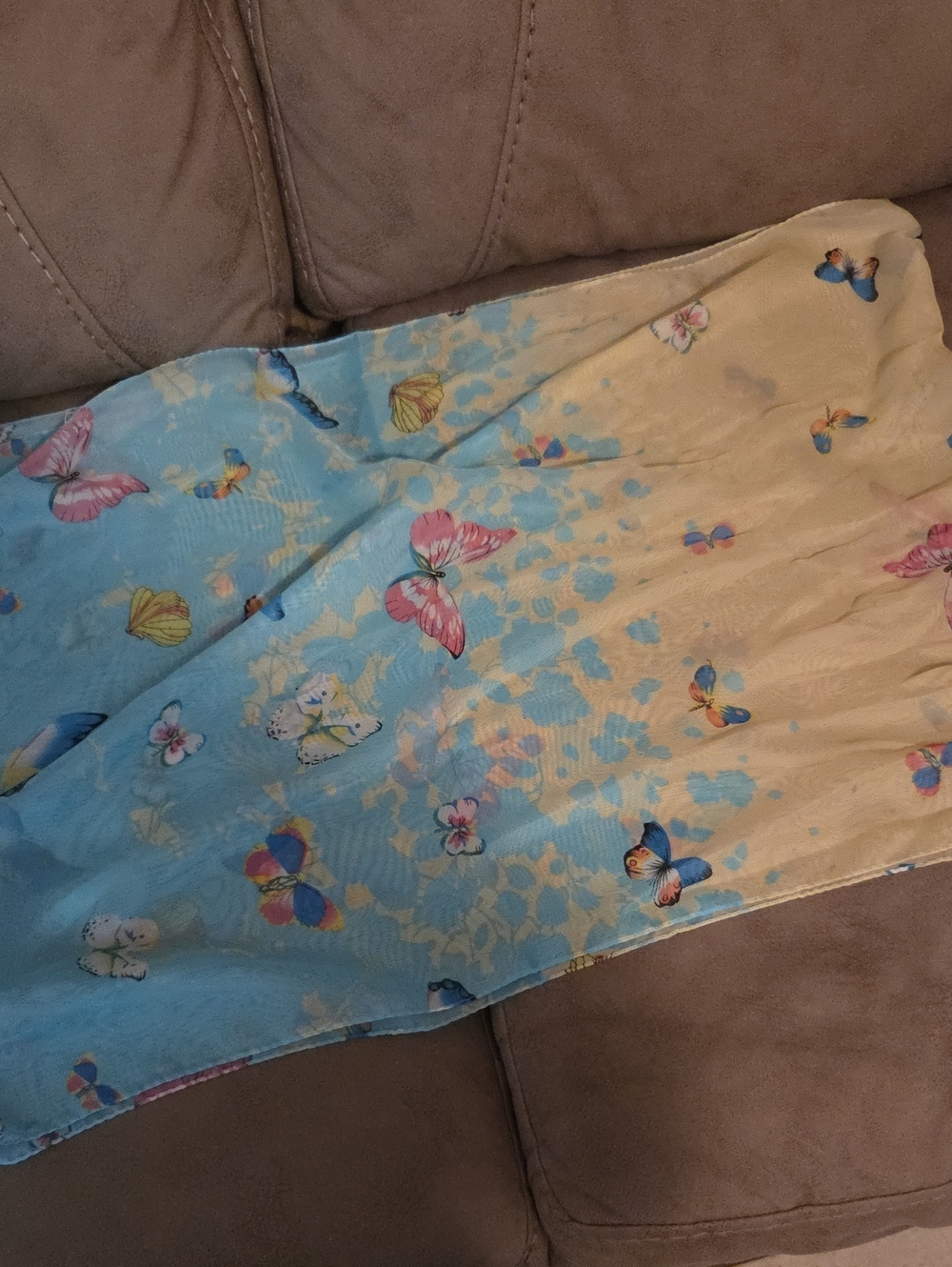 Butterfly Print Scarf - Blue and Cream